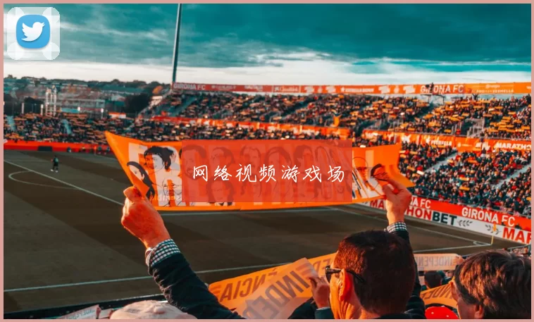 网络视频游戏场