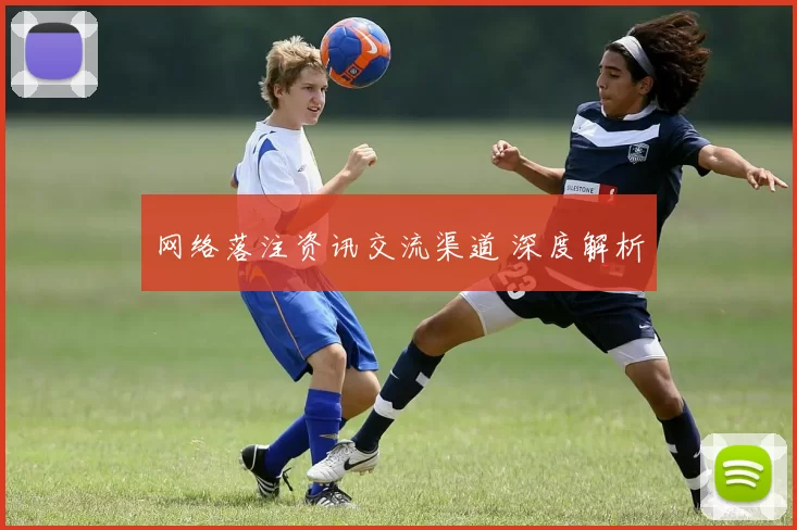 网络落注资讯交流渠道 深度解析