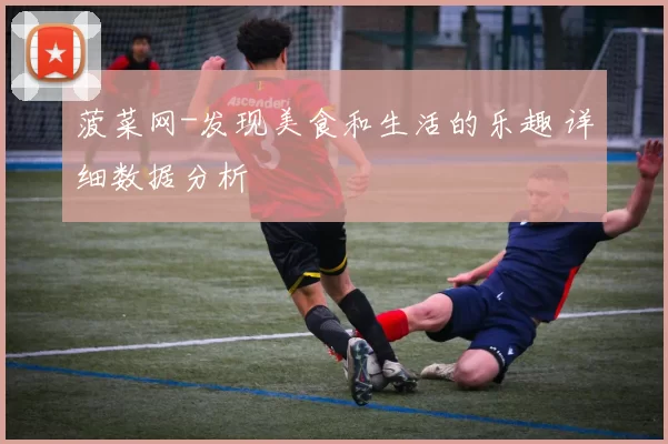 菠菜网-发现美食和生活的乐趣 详细数据分析